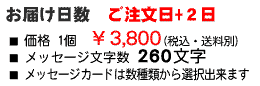 ϤϺû2塡3800ߡåϲΥɤ260ʸ