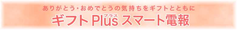 ���ޡ�������Plus ���ե�